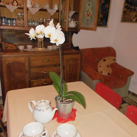 Il Bosco Dei Ciliegi