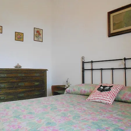 Il Bosco Dei Ciliegi *