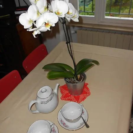 Bed & Breakfast Il Bosco Dei Ciliegi *